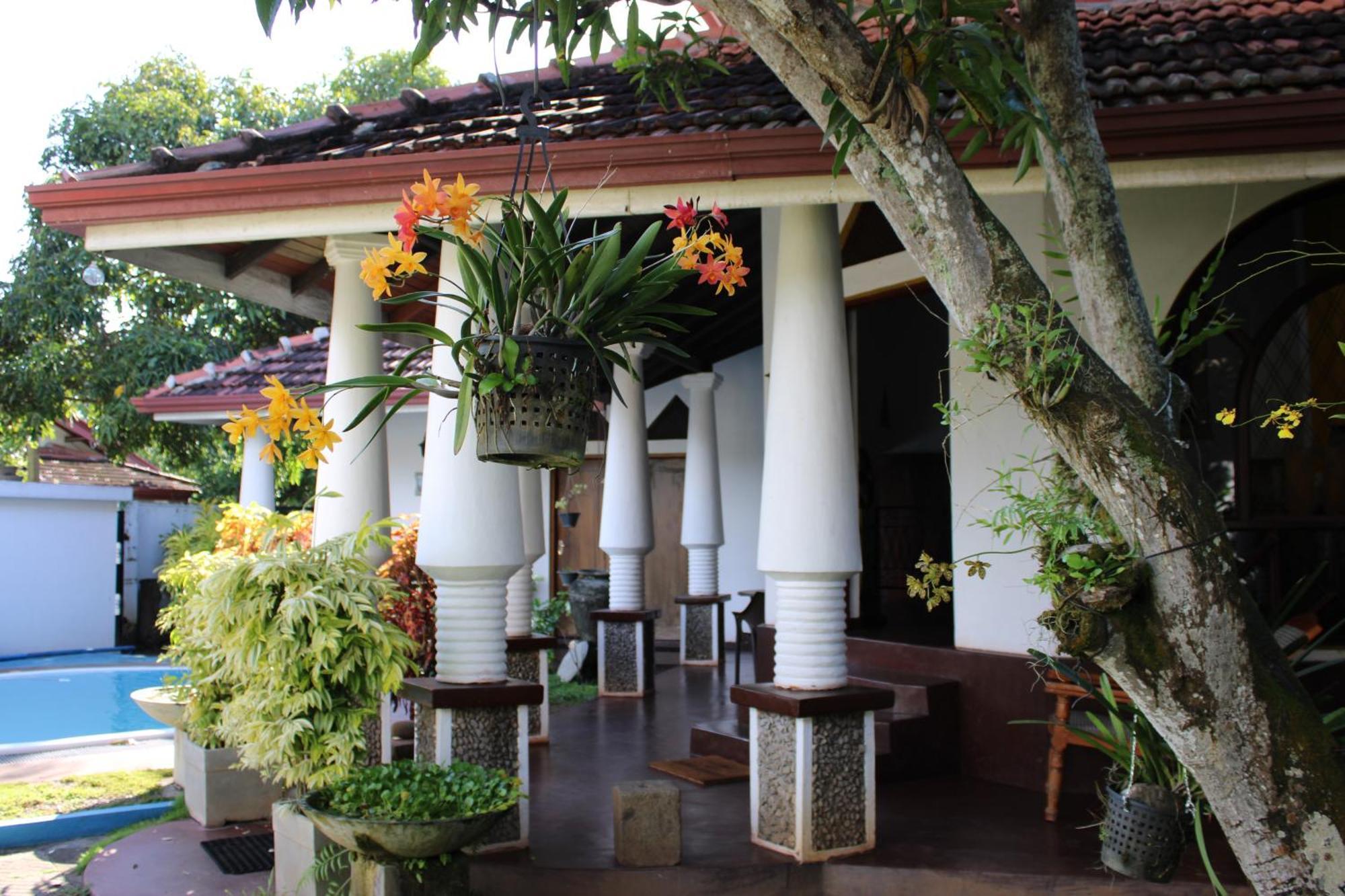 Olideb Gedara Hotel Negombo Ngoại thất bức ảnh